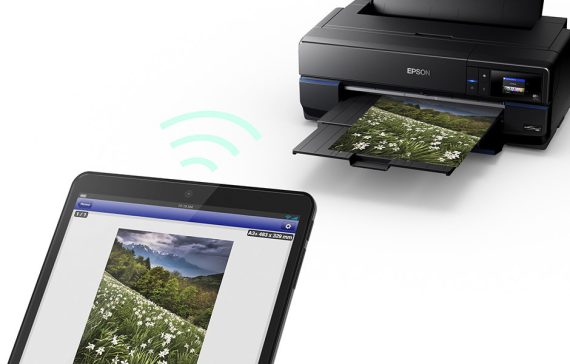 EPSON SURECOLOR P800 13"