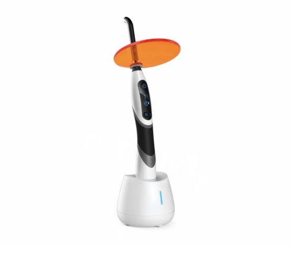 Woodpecker LED B
