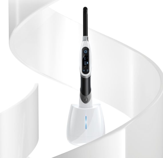 Woodpecker LED B