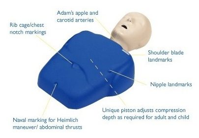 CPR PROMPT ADULT AZUL