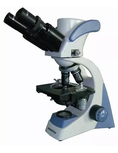 Sm-2010dm