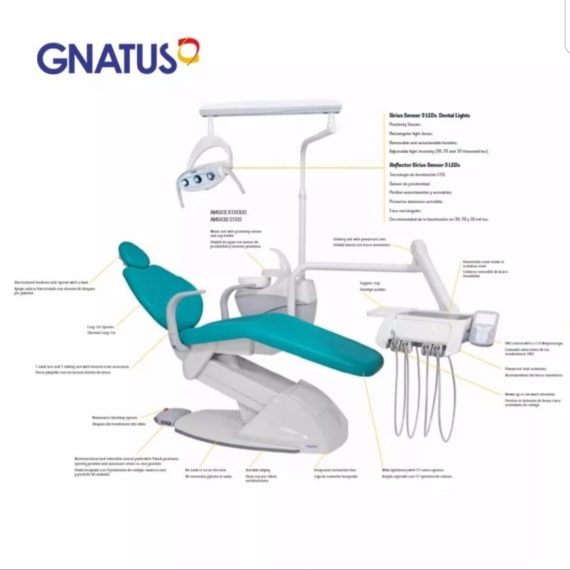 GNATUS G3 NEW F