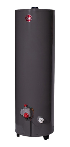 RHEEM 50030019